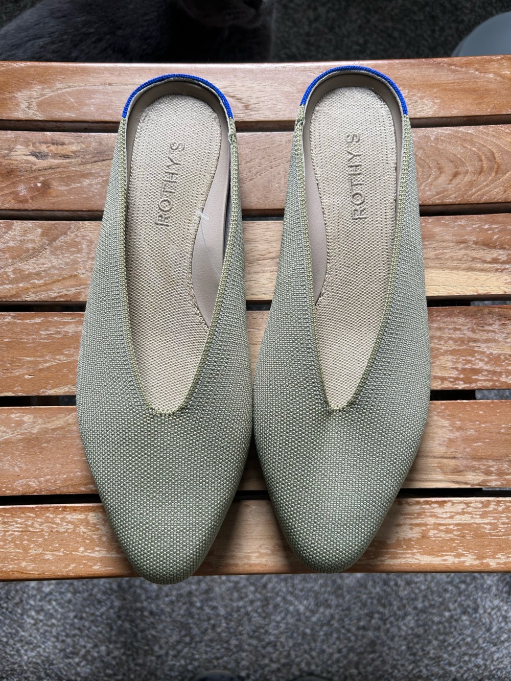 NWOT Rothy's Sage Greeny Pointed Toe Mules